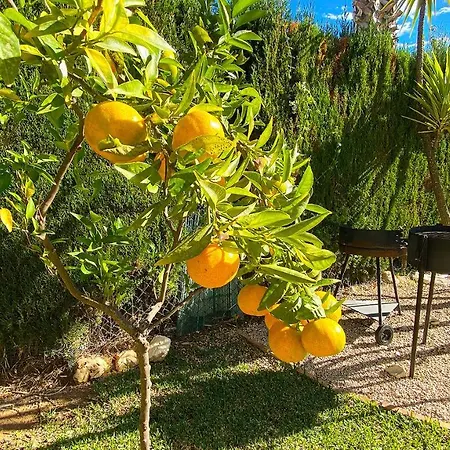 El Palmar 2 En Villa