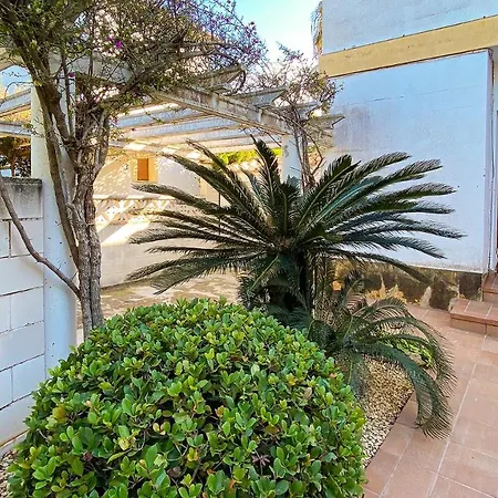 El Palmar 2 En * Dénia